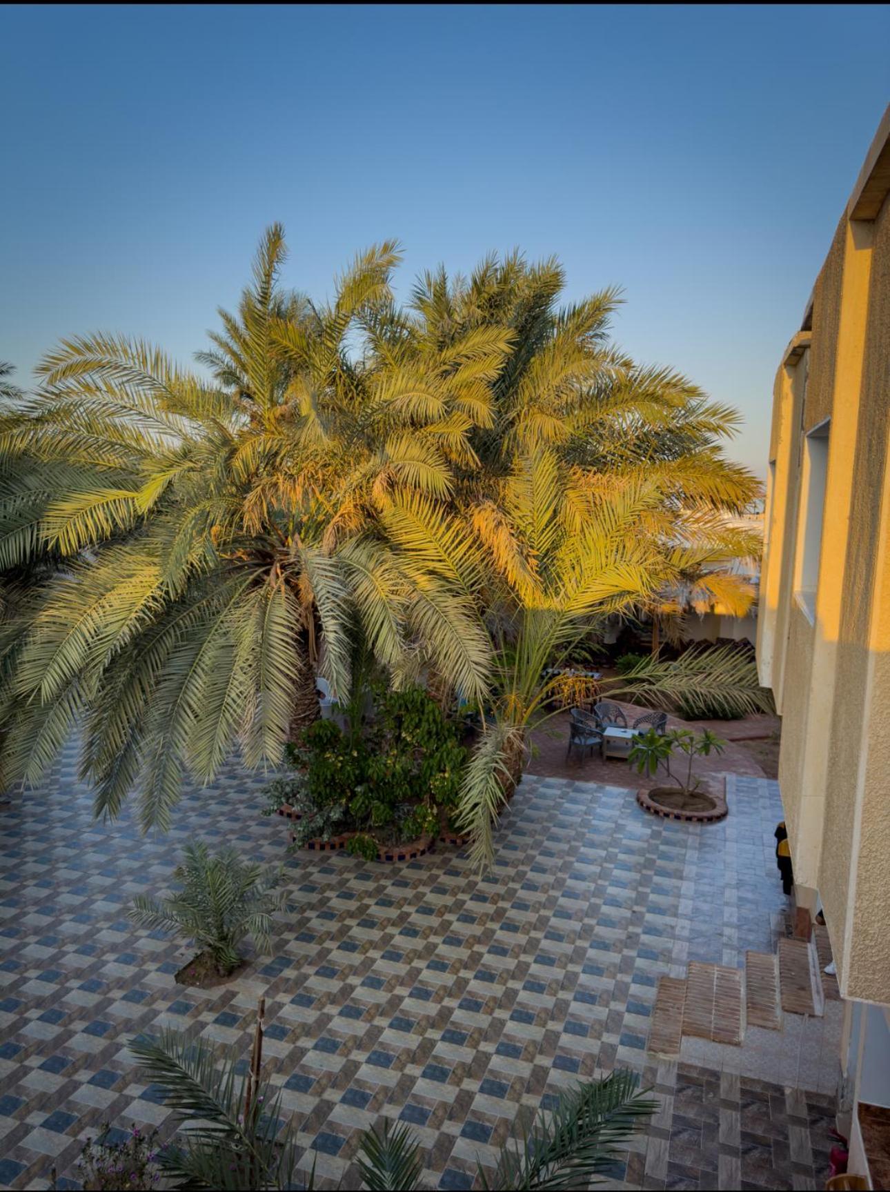 Hotel Miramar Camp Dahab Exterior foto