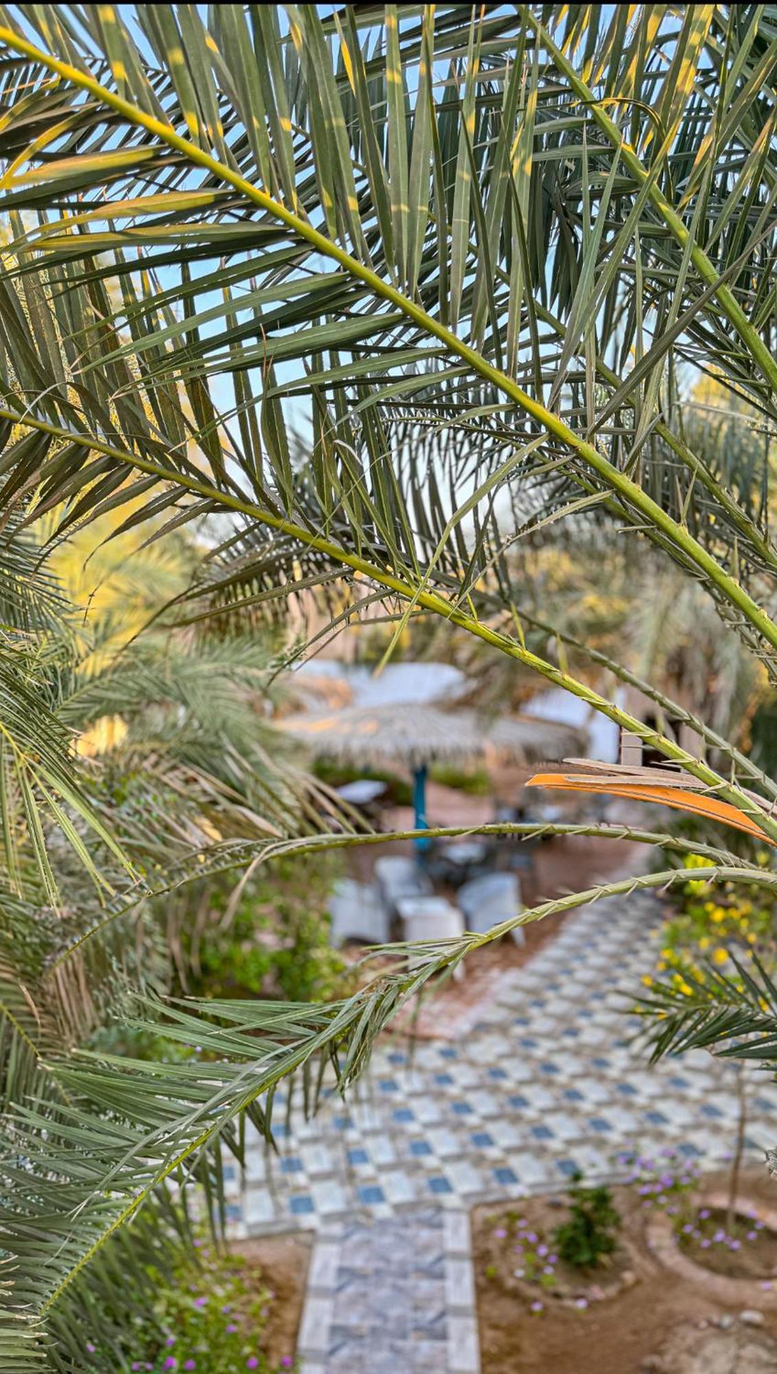 Hotel Miramar Camp Dahab Exterior foto